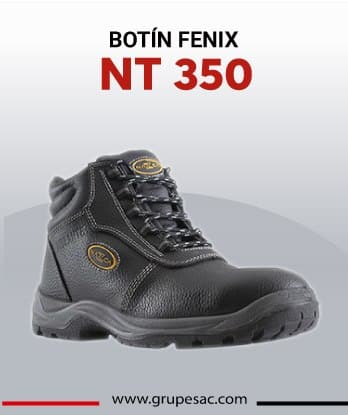 BOTIN-FENIX-NT-350-2